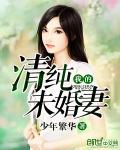 我的清纯未婚妻